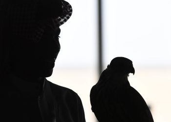 الصّقر: التاريخ والدلالة والرمز – فريد الزاهي