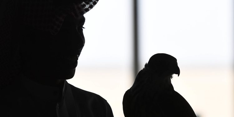 الصّقر: التاريخ والدلالة والرمز – فريد الزاهي