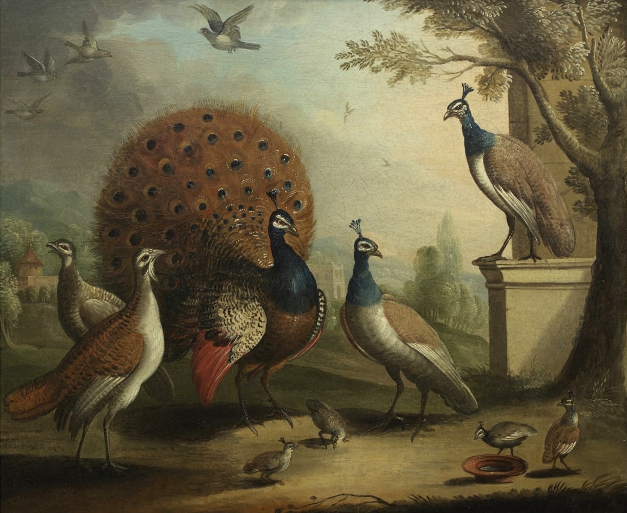 Marmaduke Cradock
“ Peacock, Peahen & Chicks in Classical Landscape ”
