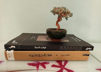 بين إبهام الأدب ووضوح الفلسفة: تجربة الحياة التي لم نعشها | غلاء سمير أنس