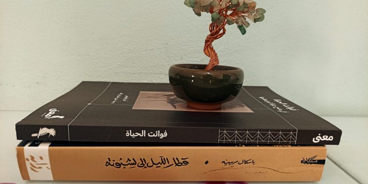 بين إبهام الأدب ووضوح الفلسفة: تجربة الحياة التي لم نعشها | غلاء سمير أنس