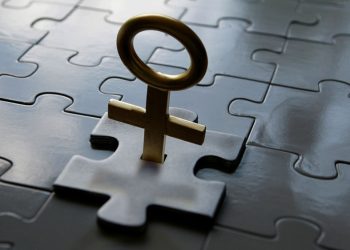 فهم النسوية | لو بينفي