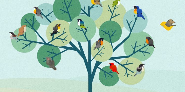 كيف يمكن للمجموعات المختلفة الاندماج من خلال اربع عناصر | من «MIT SMR»
