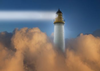 اجعل شخصية القائد ميزتك التنافسية | من «MIT SMR»