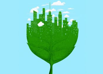 عبء الاستدامة على الشركات | من «MIT SMR»