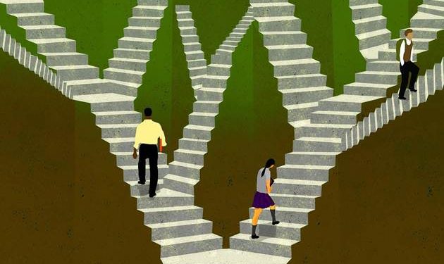 كيفية تقييم أثر الغاية المؤسسية | من «MIT SMR»